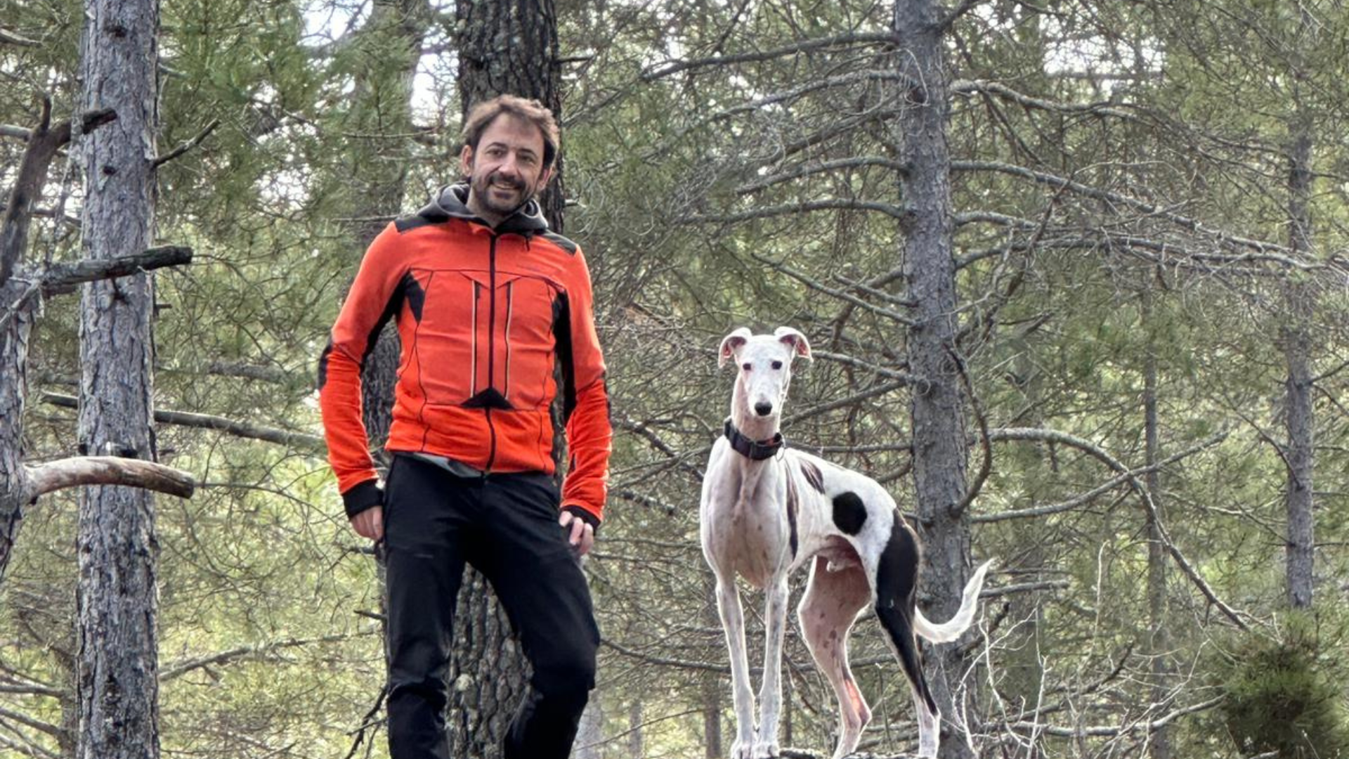serrania-cuenca-turismo-guia-local-perro
