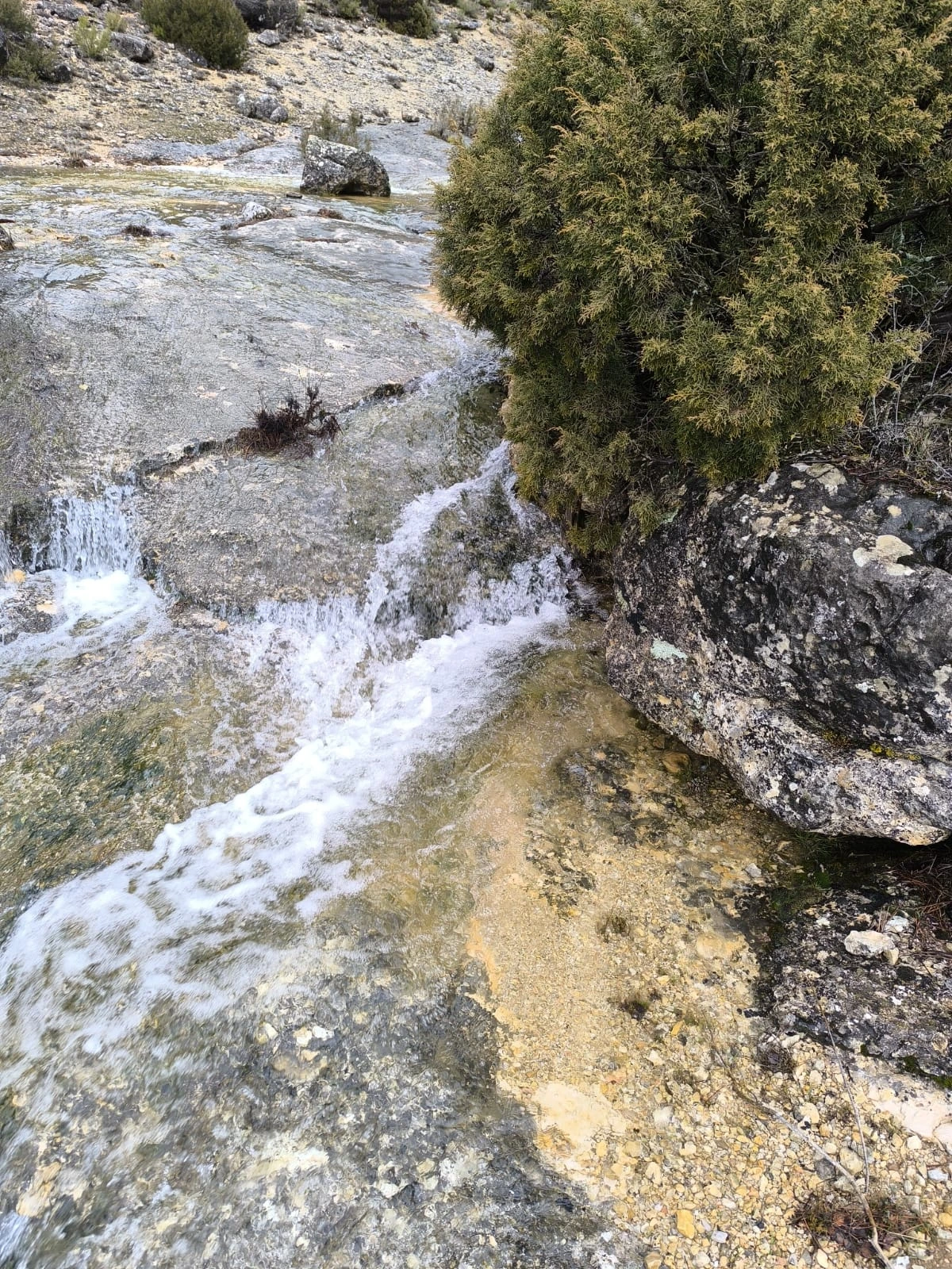 Paisaje de Cañizares