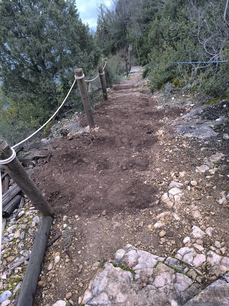 Entorno Cañizares