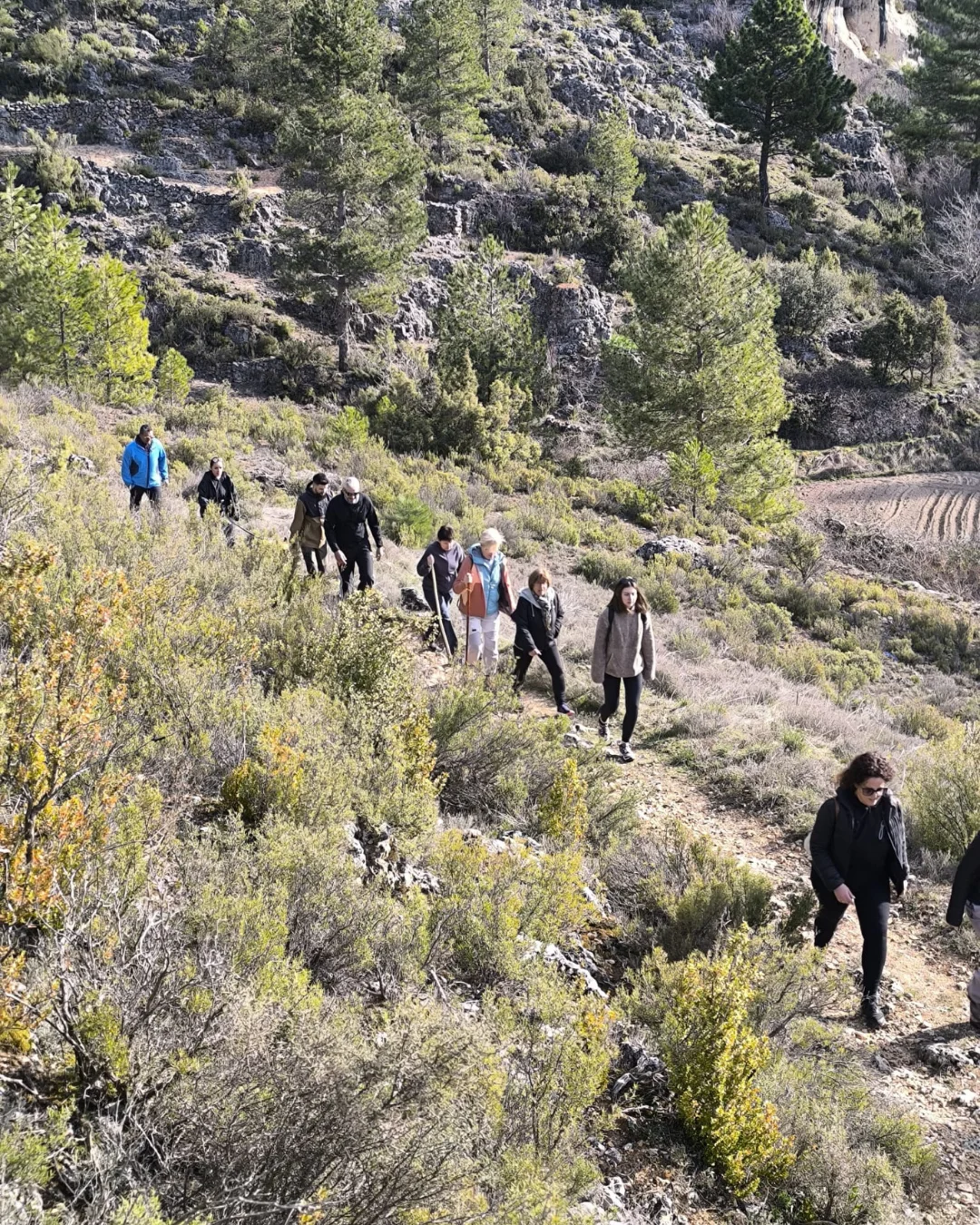 Ruta larga Cañibike