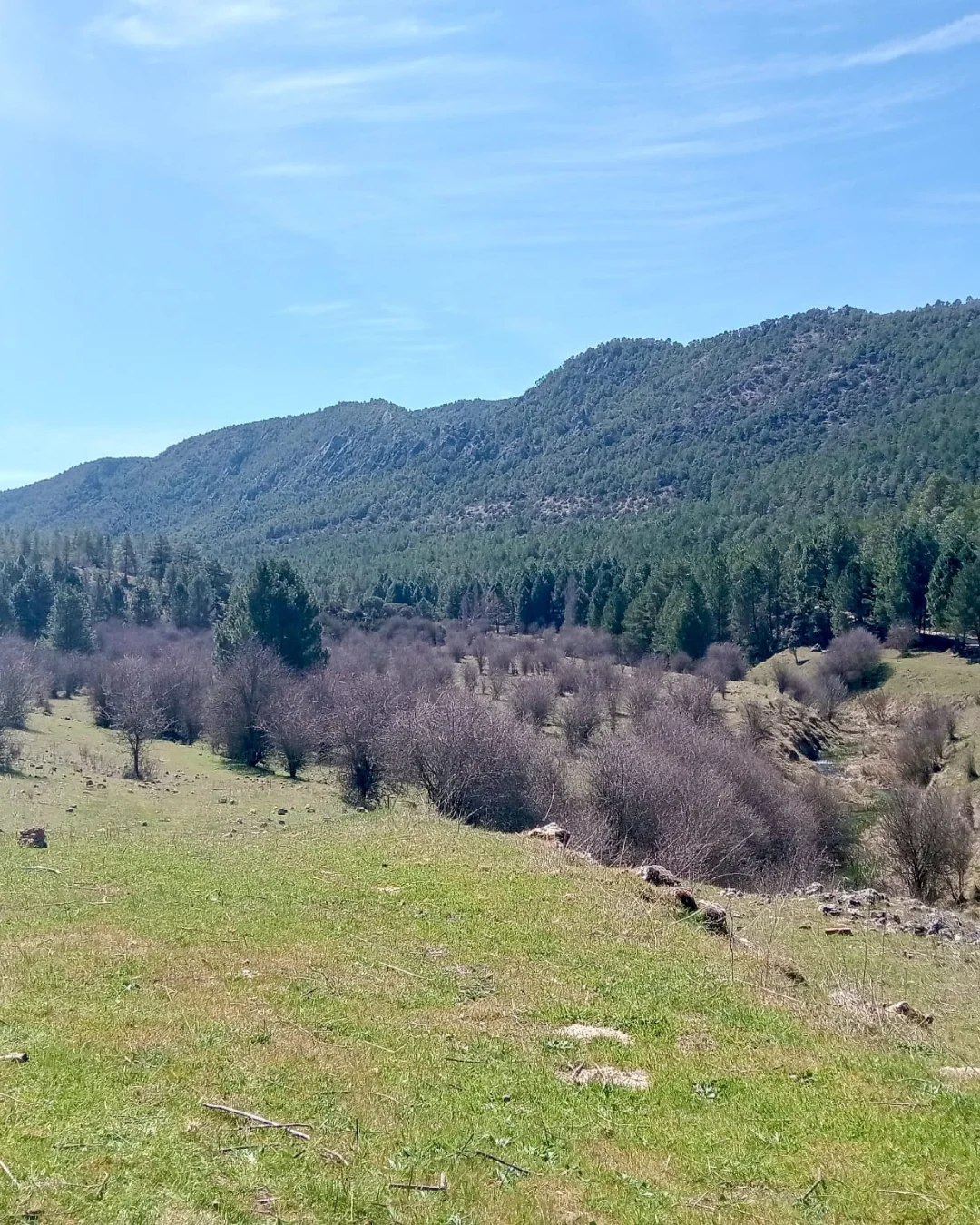 Ruta pet friendly Cuenca