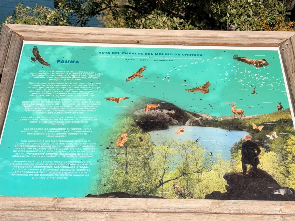 Panel informativo sobre la fauna del Embalse del Molino de Chincha con ilustraciones de aves