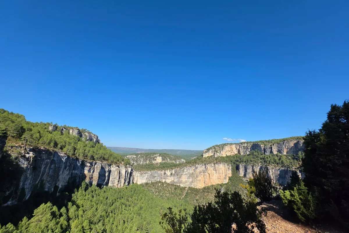 Cañón de paredes calizas cubierto de pinar en la Serranía de Cuenca