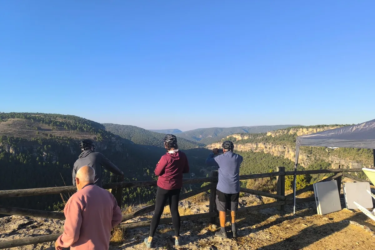Participantes asomados a la barandilla de un mirador sobre un valle con pinar
