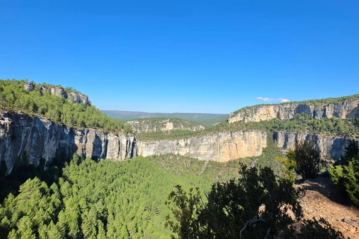 Vista de un cañón calizo cubierto de pinar bajo el cielo azul