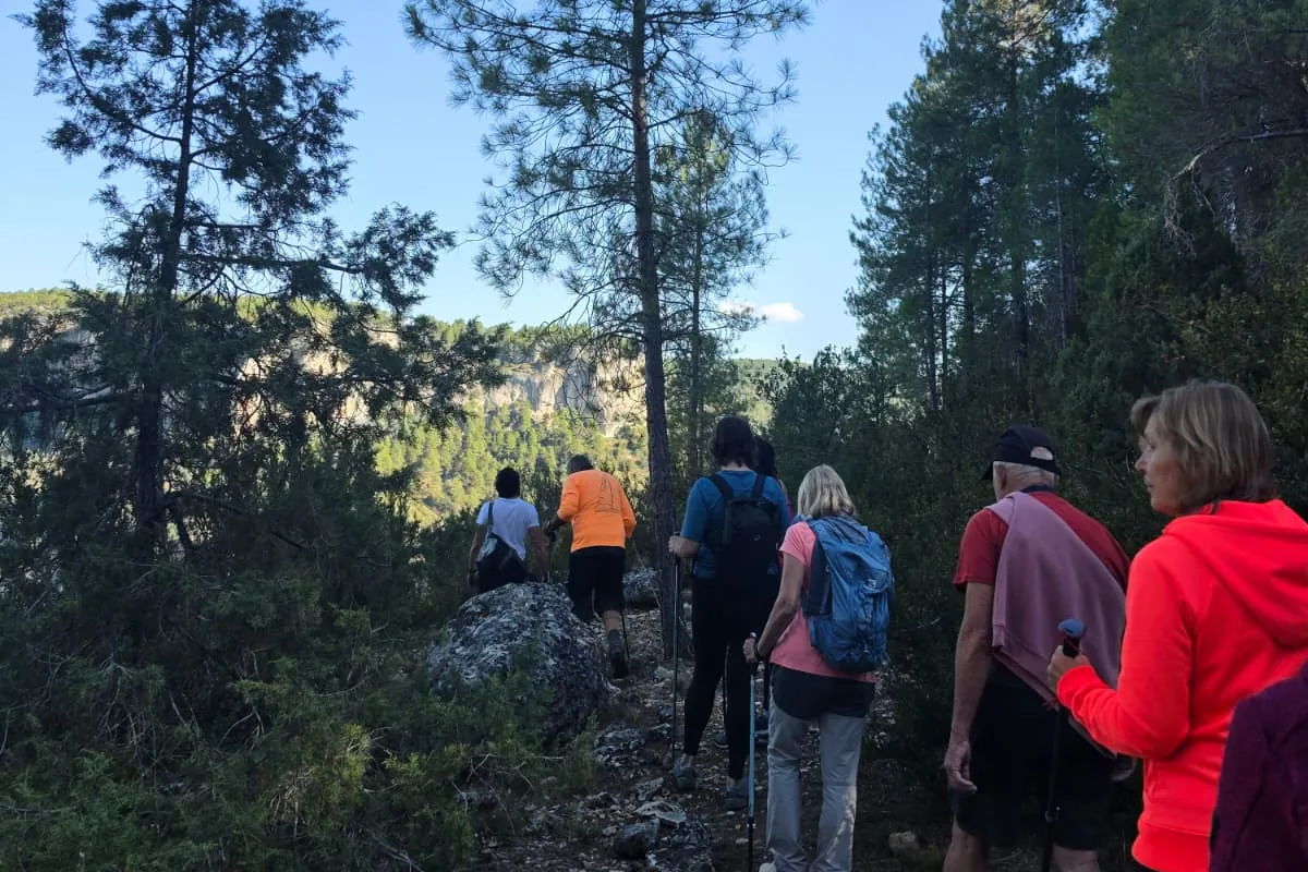 Grupo de senderistas en un sendero entre pinos